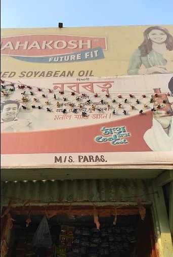 M/S Paras