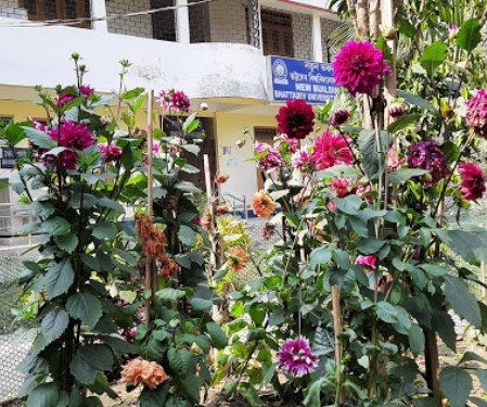 Bhattadev University, Bajali