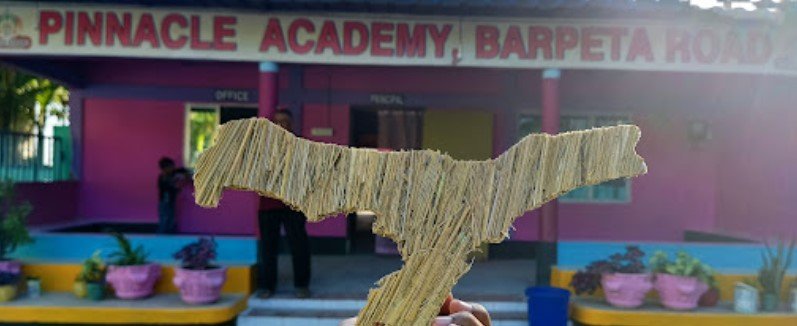 Pinnacle academy, barpeta road