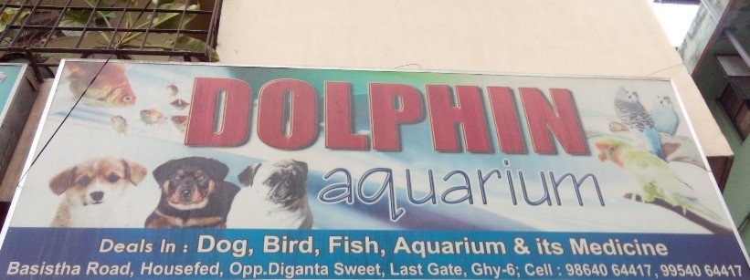 Dolphin Aquarium